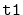 $ \mathtt{t1}$
