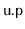 $ \mathtt{u.p}$
